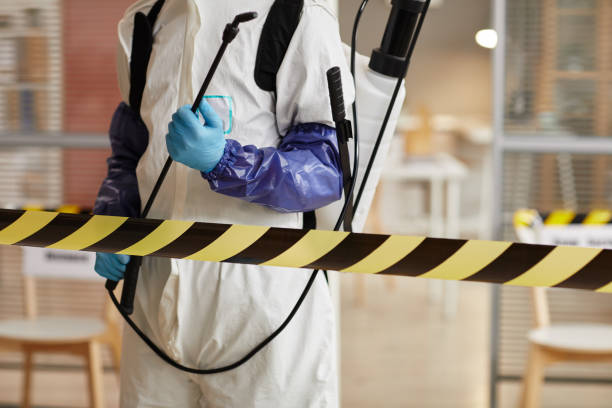 Professional Hoarding Cleanup technician working in Roslyn, NY